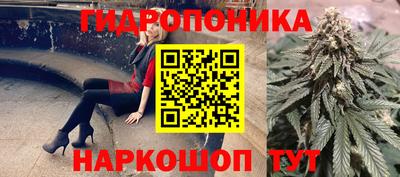 спайс Гусев
